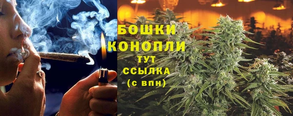 прущая мука Горняк