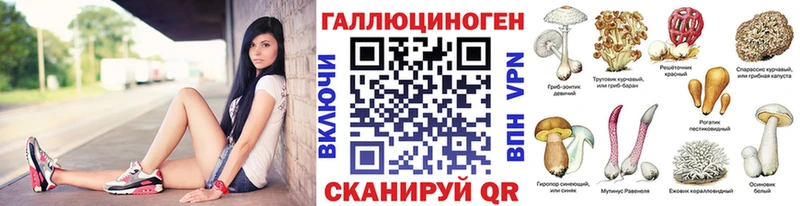 Купить где  Перевоз  Галлюциногенные грибы MAGIC MUSHROOMS 